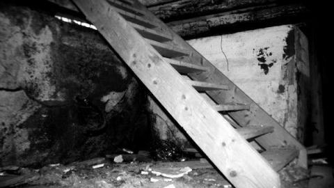 Gallery - IMG_0260.jpg