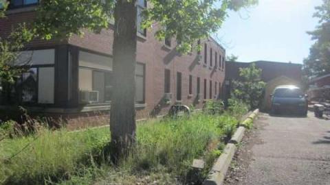 Some more outside - IMG_4887.jpg