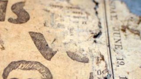 Gallery - IMG_0340.jpg