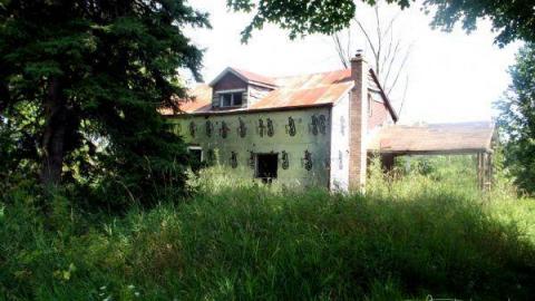 Gallery - IMG_0466.jpg