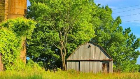 Aerial time period - OAP loc 006lico.jpg