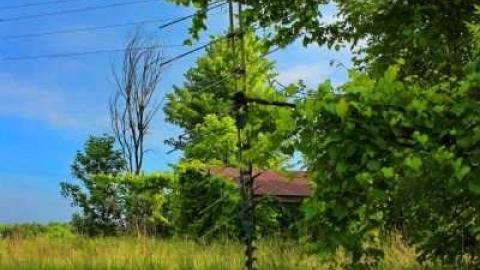 Aerial time period - OAP loc 007lico.jpg