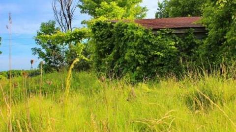 Aerial time period - OAP loc 008lico.jpg