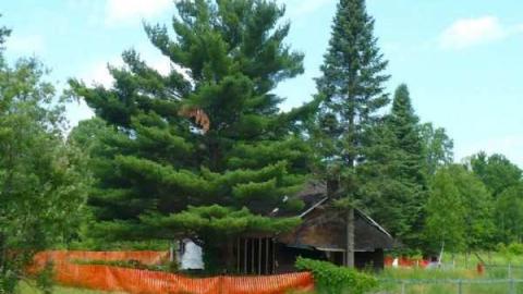 July 2012 - Kilworthy-and-Store11.jpg