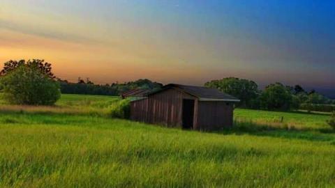 Photo from Strike One 6/12