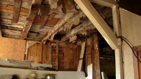 Don't Kill the Sense of Wonder - Kilworthy-and-Store15.jpg