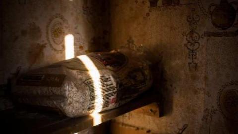 More of the same. - _MG_8704.jpg