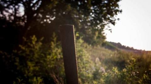 More of the same. - _MG_8764.jpg