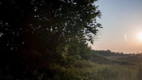 More of the same. - _MG_8780.jpg