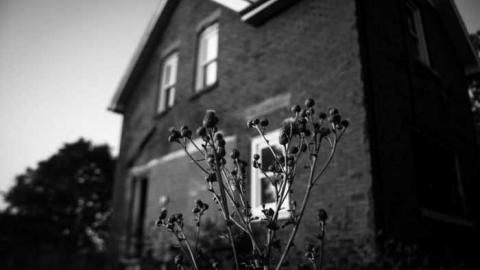 More of the same. - _MG_8782.jpg