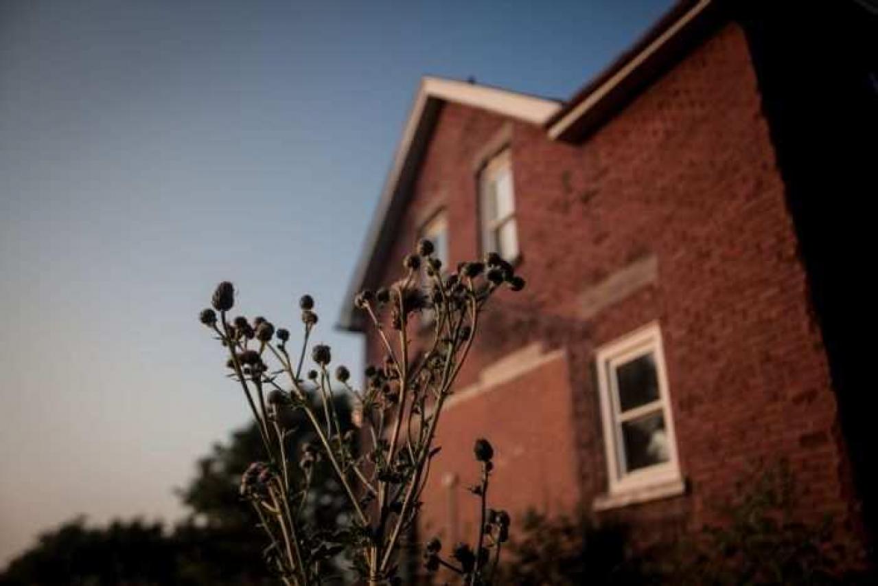 More of the same. - _MG_8784.jpg