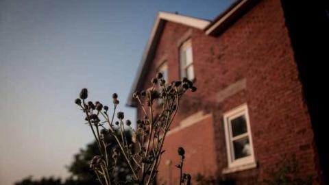 More of the same. - _MG_8784.jpg