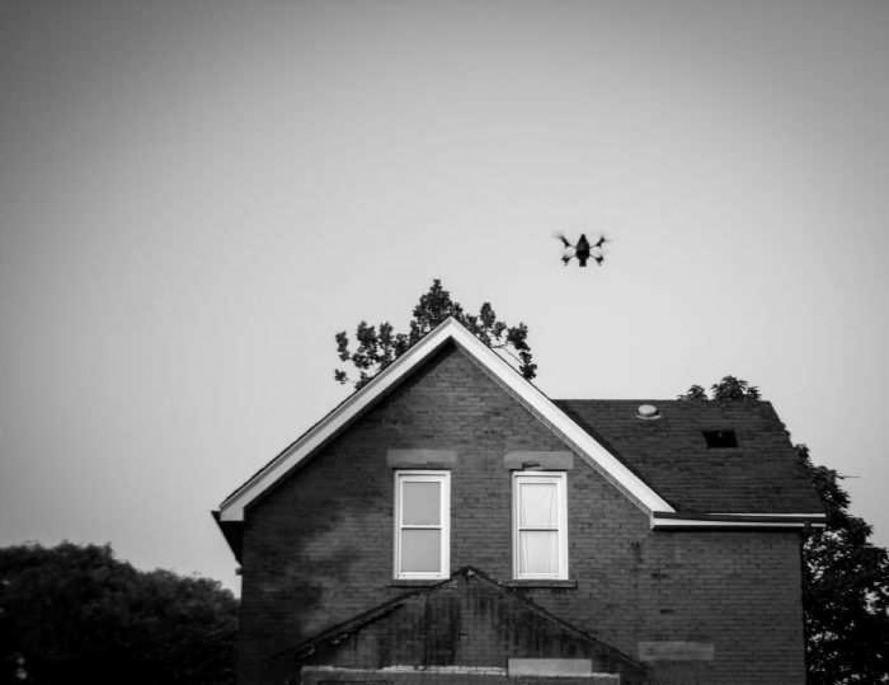 More of the same. - _MG_8796.jpg