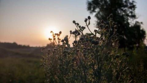 More of the same. - _MG_8811.jpg