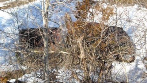 Gallery - Gravel-Pit3.jpg