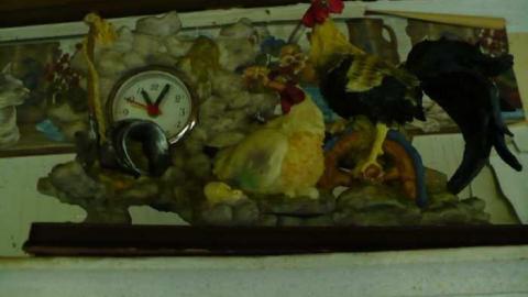 Fixer Upper - P1070998.jpg