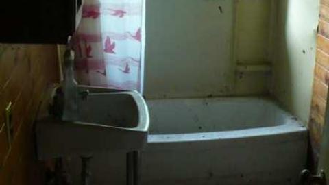 Fixer Upper - P1070999.jpg