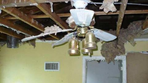 Fixer Upper - P1080007.jpg