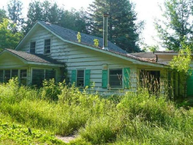 Brechin Zie Decay photo 5