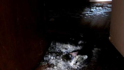 Old Wreck Near New Hospital - Old-Wreck-Near-New-Hospital15.jpg