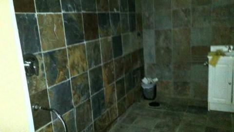 California dreamin - Toronto, Ontario