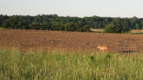 Safe House - 008b - IMG_6625.jpg