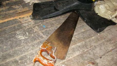 Safe House - IMG_6647.jpg