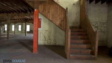 Electrohome Plant 4 photo 5