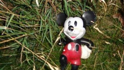 Orchard  - City-Orchards40.jpg