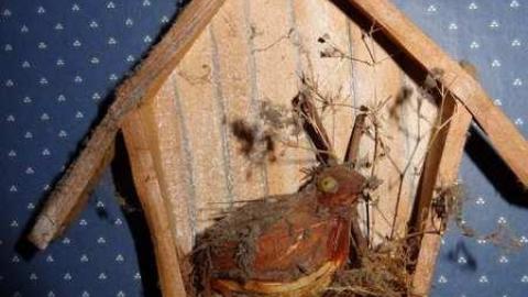 Orchard  - City-Orchards103.jpg