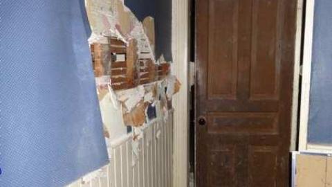 Orchard  - City-Orchards42.jpg