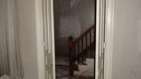 Orchard  - City-Orchards45.jpg