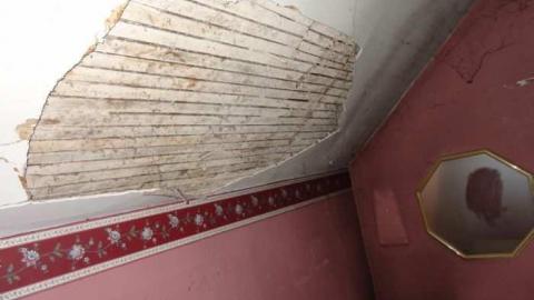 Orchard  - City-Orchards108.jpg