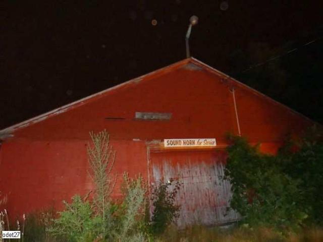 City Orchards photo 5