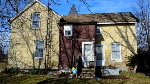 Feb/Aug 2012 - City-Orchards8.jpg