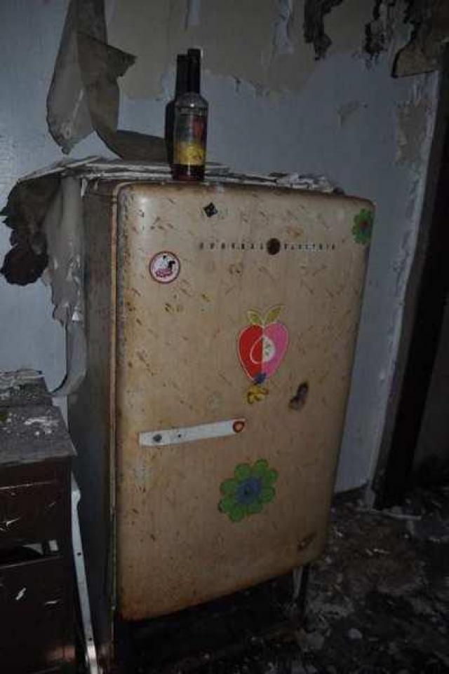 Harry's Hideaway photo 5