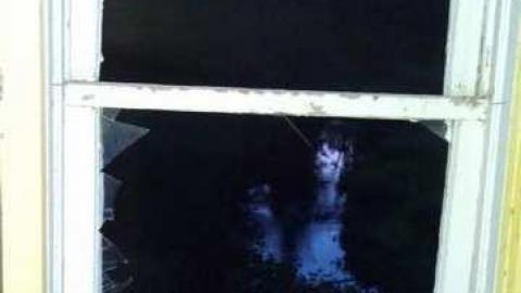 Highpoint Of The Day photo 4