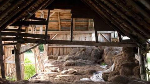 woodwood - Old-and-Good41.jpg