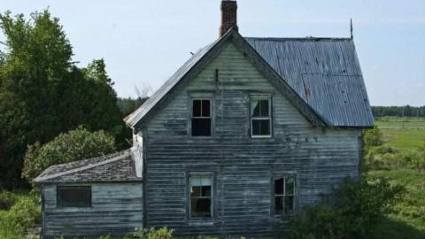 woodwood - Old-and-Good1.jpg