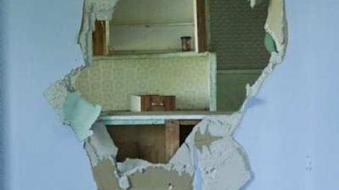 woodwood - Old-and-Good3.jpg