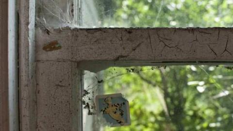 woodwood - Old-and-Good6.jpg