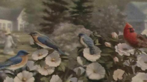 woodwood - Old-and-Good47.jpg