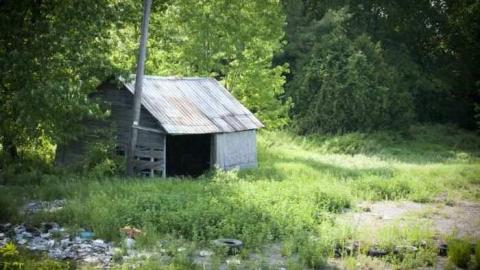 woodwood - Old-and-Good7.jpg