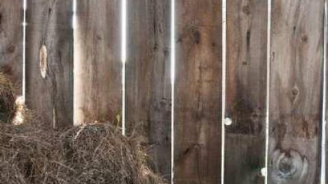 woodwood - Old-and-Good48.jpg