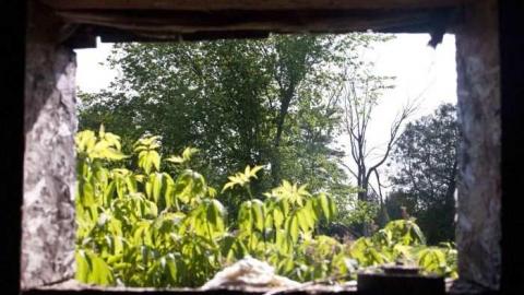 woodwood - Old-and-Good49.jpg