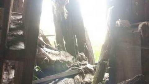 woodwood - Old-and-Good9.jpg