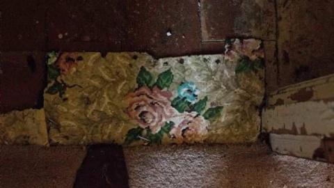 woodwood - Old-and-Good50.jpg