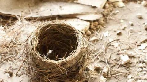 Barrhaven hotel - Barrhaven-Hotel40.jpg