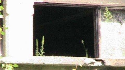 Gallery - Donald-(ghost-chemical-plant)242.jpg