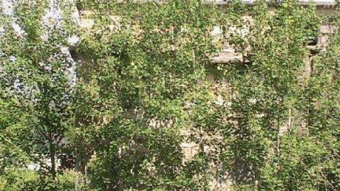 Gallery - Donald-(ghost-chemical-plant)243.jpg